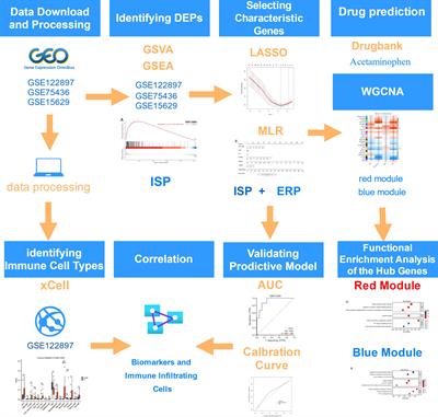 Integrated analysis identifies the IL6/JAK/STAT signaling pathway and the estrogen response pathway associated with the pathogenesis of intracranial aneurysms